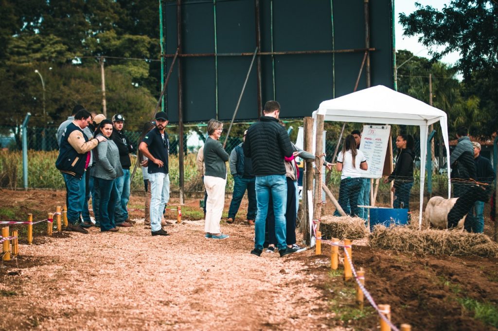 Feira do Conhecimento reuniu alunos, produtores e comunidade.